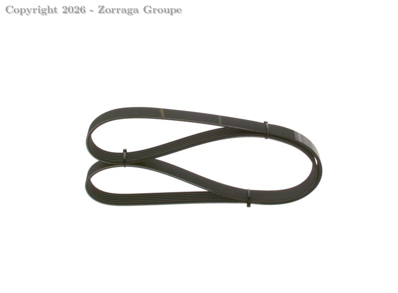 COURROIE ALTERNATEUR FORD TRANSIT 6PK1420